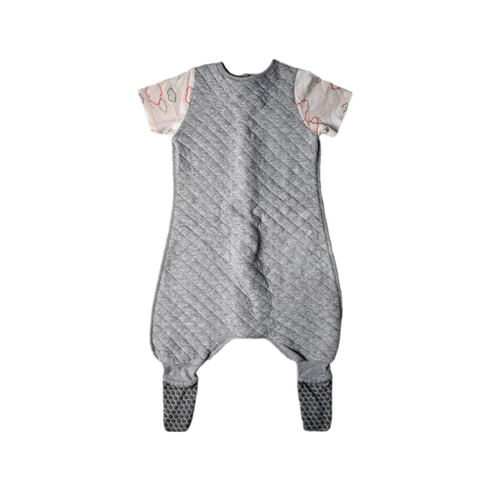 A Grey Sleepsacs from Love To Dream in size 2T for girl. (Back View)
