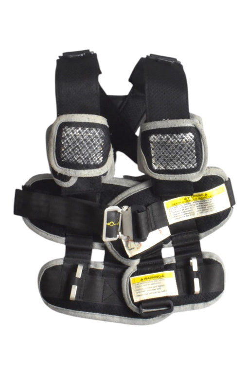 A Black Car Accessories from RideSafer in size O/S for neutral. (Front View)