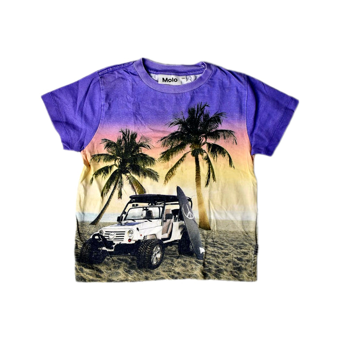 A Purple Short Sleeve T Shirts from Molo in size 4T for boy. (Front View)