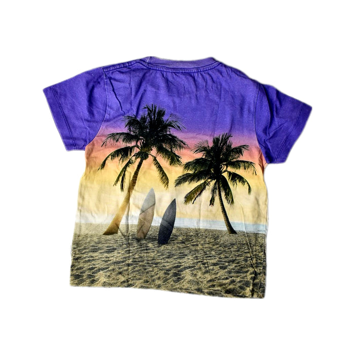 A Purple Short Sleeve T Shirts from Molo in size 4T for boy. (Back View)