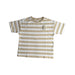 A Beige Short Sleeve T Shirts from Seed in size 4T for boy. (Front View)