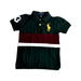 A Green Short Sleeve Polos from Polo Ralph Lauren in size 4T for boy. (Front View)