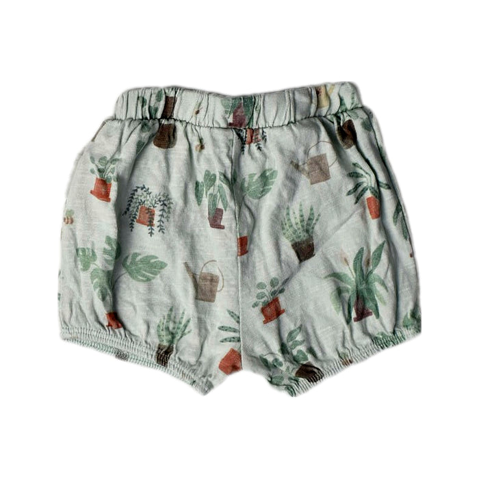 A Green Shorts from Purebaby in size 0-3M for boy. (Back View)