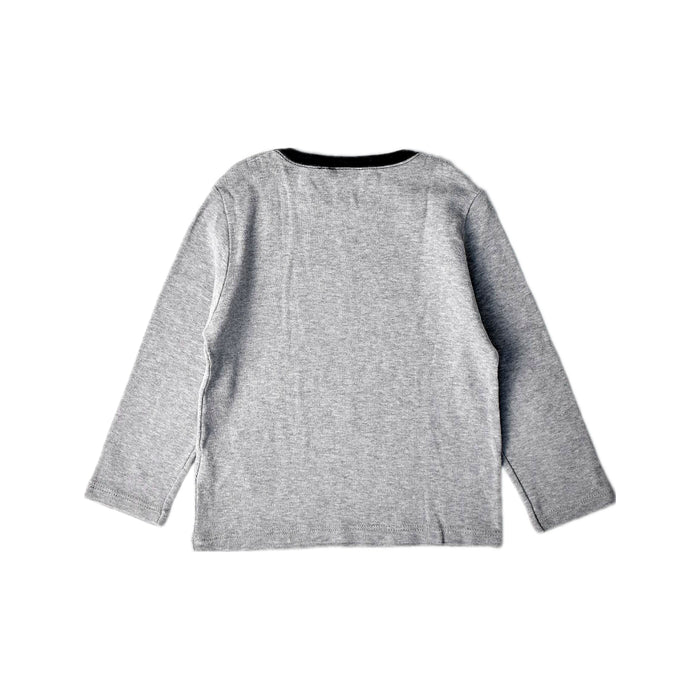 A Grey Long Sleeve Tops from Petit Bateau in size 2T for boy. (Back View)