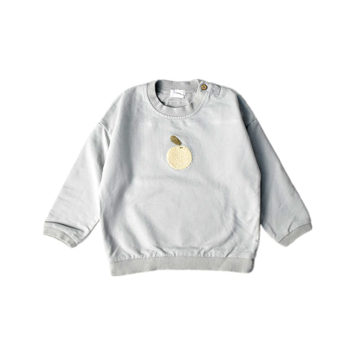 A Grey Crewneck Sweatshirts from Jamie Kay in size 2T for boy. (Front View)