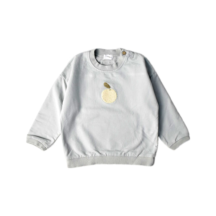 A Grey Crewneck Sweatshirts from Jamie Kay in size 2T for boy. (Front View)