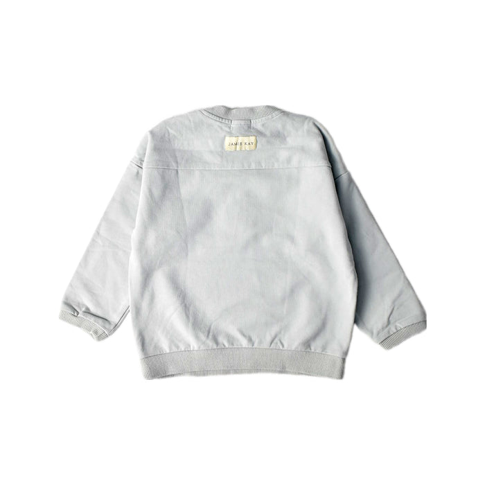A Grey Crewneck Sweatshirts from Jamie Kay in size 2T for boy. (Back View)