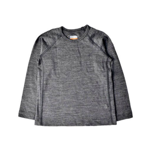 A Grey Long Sleeve Tops from Icebreaker in size 4T for boy. (Front View)
