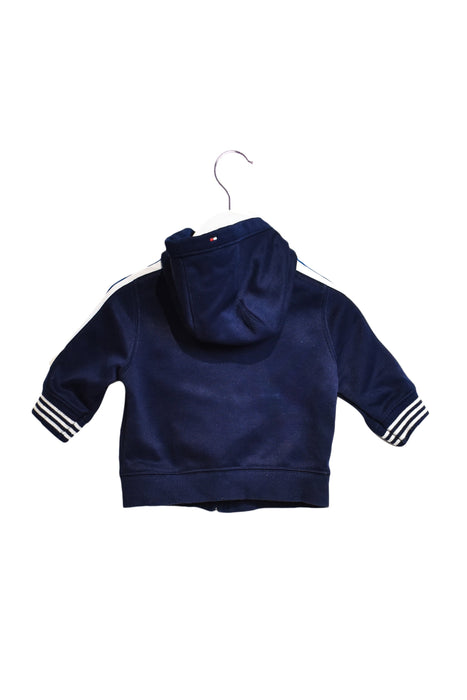 A Navy Hooded Sweatshirts from Tommy Hilfiger in size 6-12M for boy. (Back View)