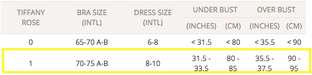 A Ivory Short Sleeve Dresses from Tiffany Rose in size S for maternity. (Front View)