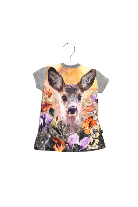 A Grey Short Sleeve T Shirts from Molo in size 3-6M for girl. (Back View)