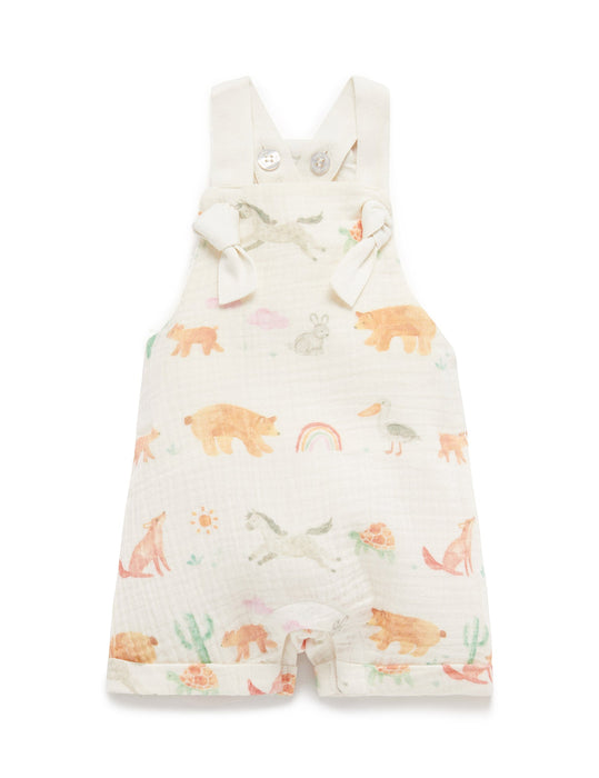 California Coast Overall