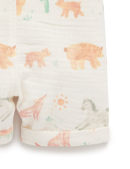 California Coast Overall