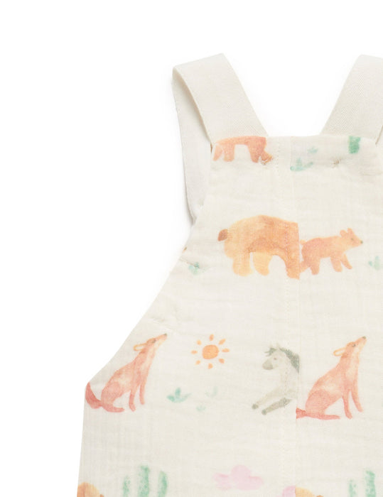 California Coast Overall