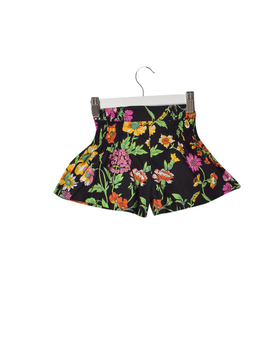 Coco and Ginger Shorts 2T