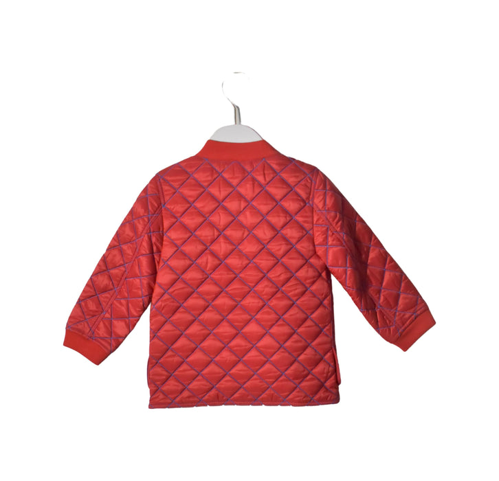 A Red Puffer/Quilted Jackets from Burberry in size 3T for neutral. (Back View)