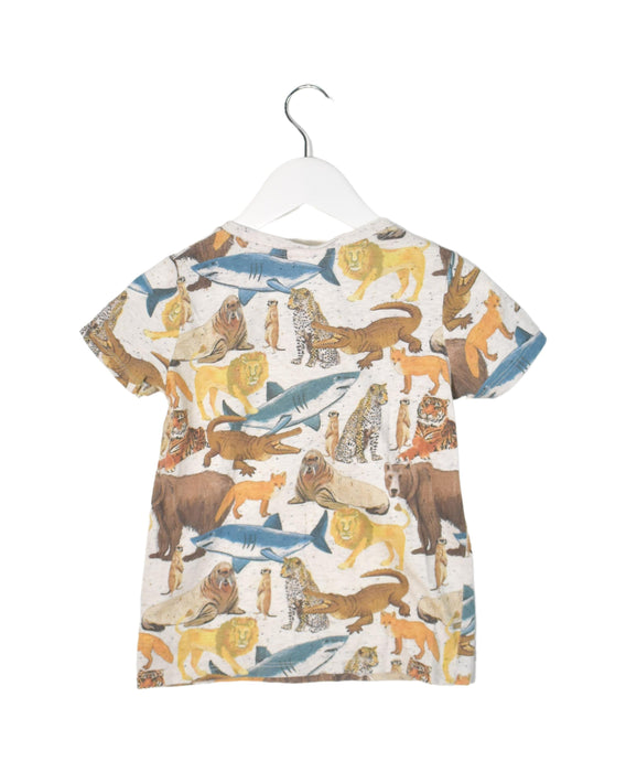 A Multicolour Short Sleeve T Shirts from Seed in size 4T for boy. (Back View)