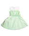 A Green Sleeveless Dresses from Nicholas & Bears in size 3T for girl. (Back View)