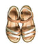 A Brown Sandals from Ciao in size 5T for girl. (Back View)