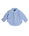 A Blue Shirts from Polo Ralph Lauren in size 6-12M for boy. (Front View)