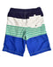 A Multicolour Shorts from Hanna Andersson in size 10Y for boy. (Back View)