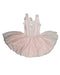 A Pink Sleeveless Dresses from Flo Dancewear in size 6T for girl. (Back View)